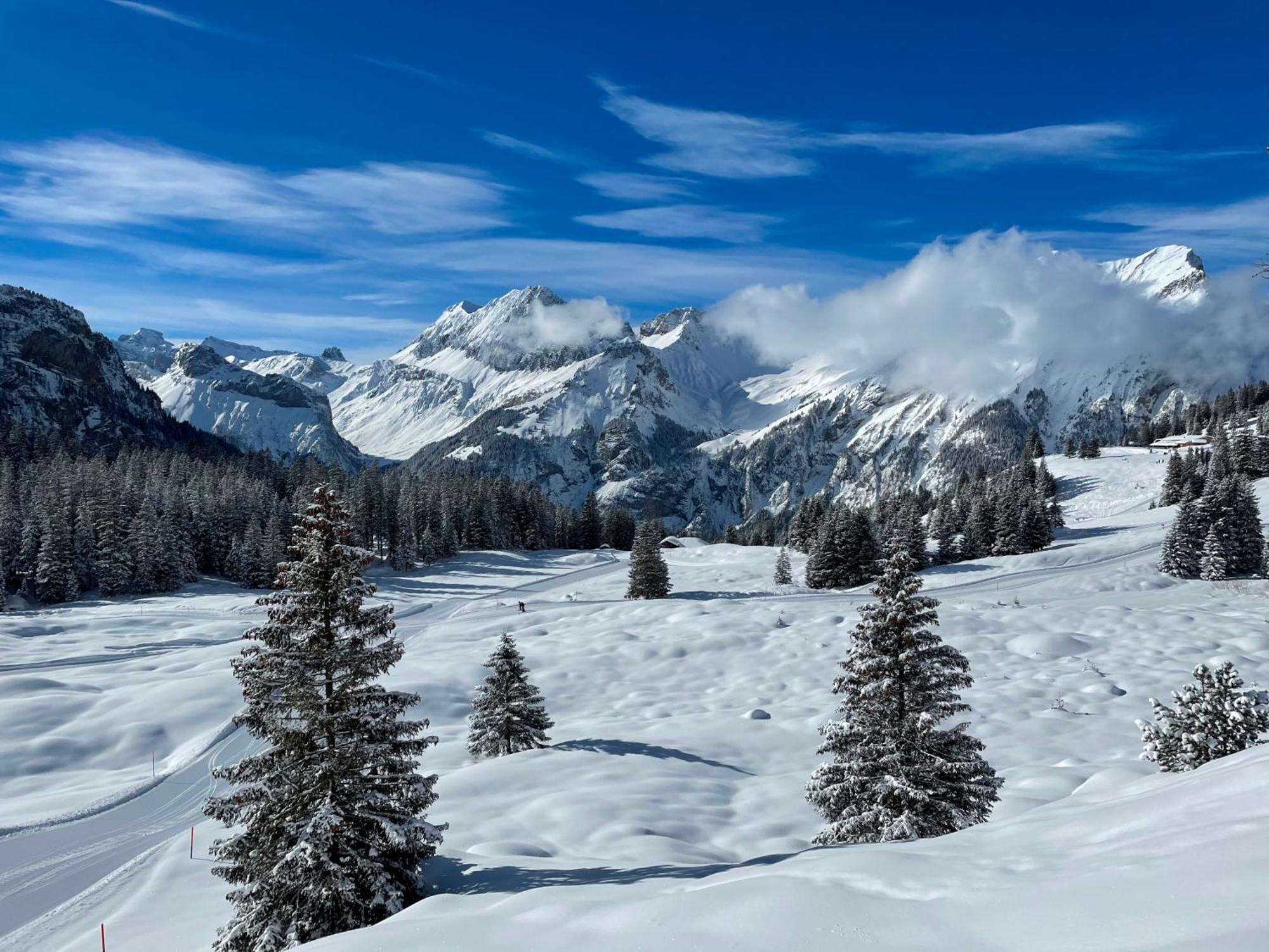 Seilers Vintage Hotel & Spa Kandersteg Bagian luar foto