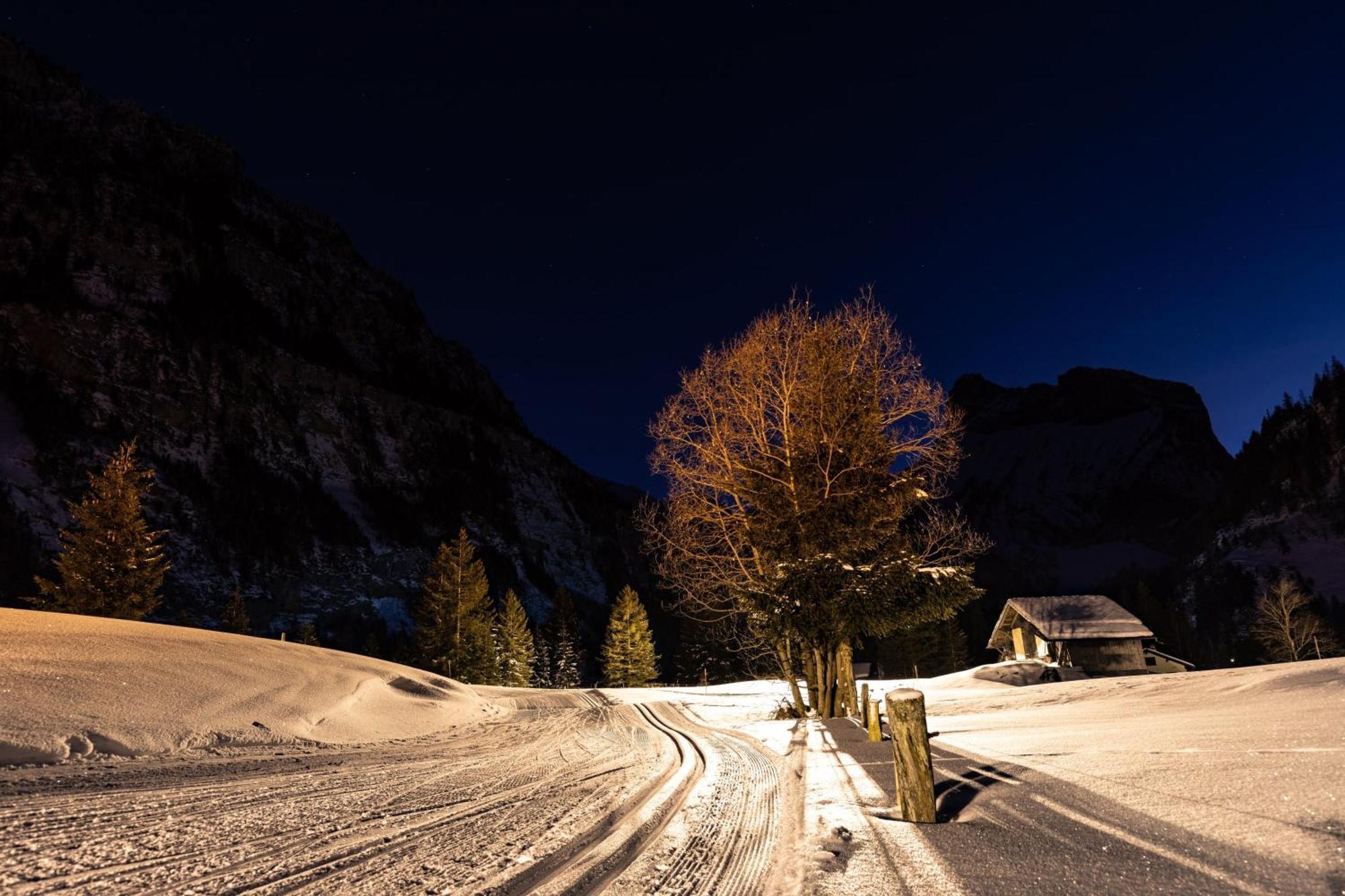 Seilers Vintage Hotel & Spa Kandersteg Bagian luar foto